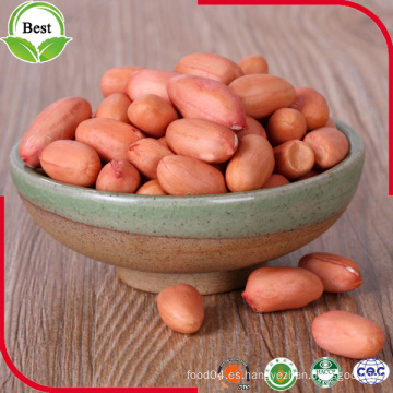 Red Peanut Kernels 24/28 28/32 40/50 50/60